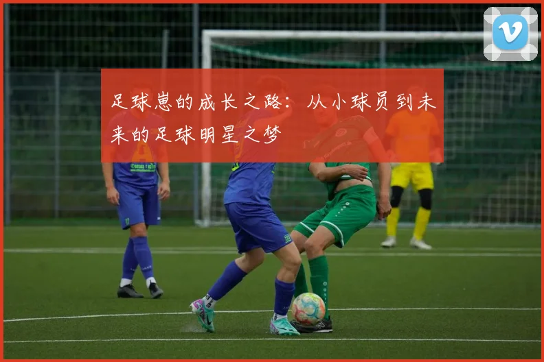足球崽的成长之路：从小球员到未来的足球明星之梦