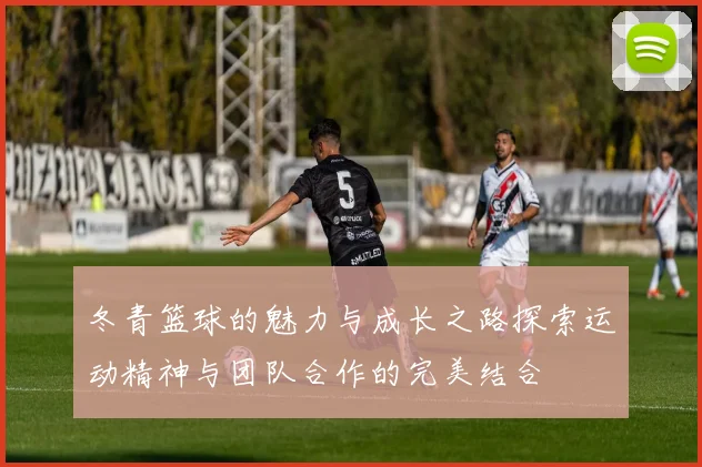 冬青篮球的魅力与成长之路探索运动精神与团队合作的完美结合