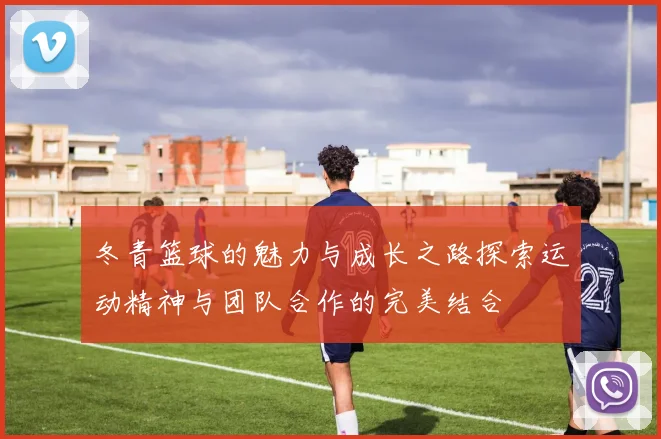 冬青篮球的魅力与成长之路探索运动精神与团队合作的完美结合