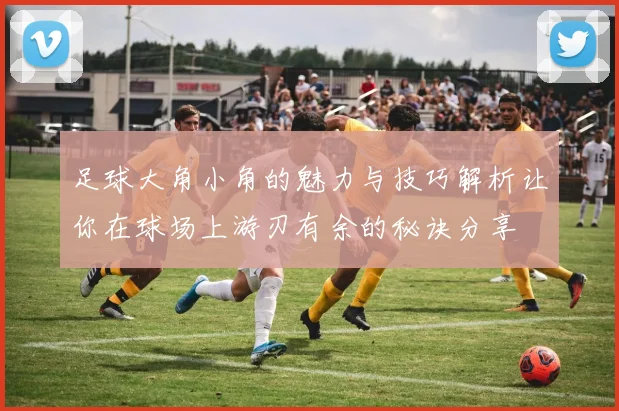 足球大角小角的魅力与技巧解析让你在球场上游刃有余的秘诀分享