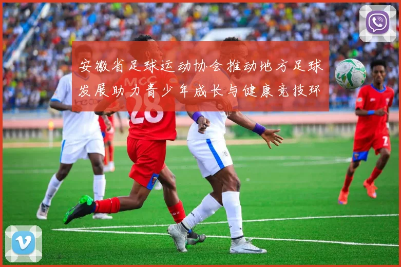 安徽省足球运动协会推动地方足球发展助力青少年成长与健康竞技环境建设